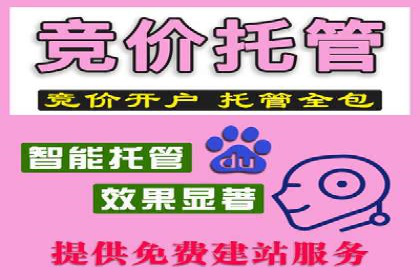 SEM代运营托管公司案例：营销突破